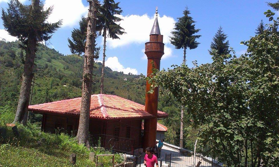 Araklı Bereketli Köyü Resimleri 14