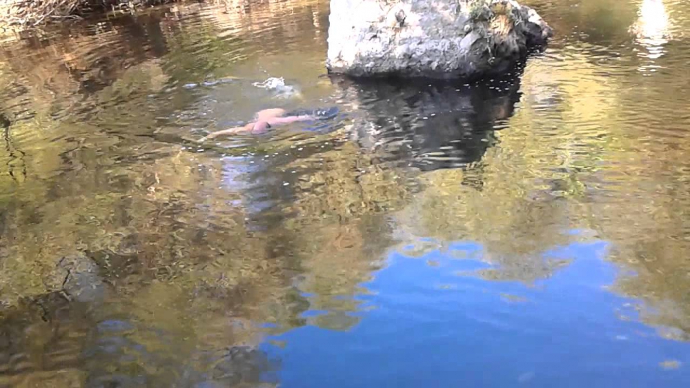 Sındırgı Armutlu Köyü Resimleri 10