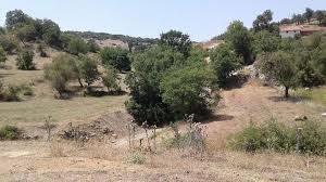 Sındırgı Aslandede Köyü Resimleri 3