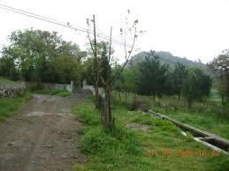 Sındırgı Aslandede Köyü Resimleri 6