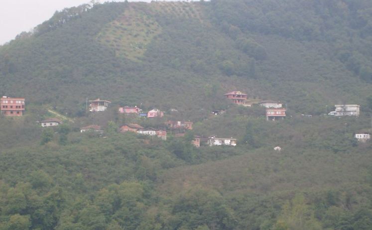 Araklı Birlik Köyü Resimleri 2