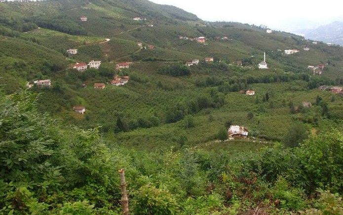 Araklı Birlik Köyü Resimleri 8