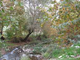Sındırgı Eşmedere Köyü Resimleri 2