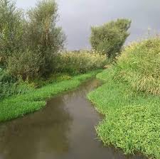 Sındırgı Karacaağaç Köyü Resimleri 2