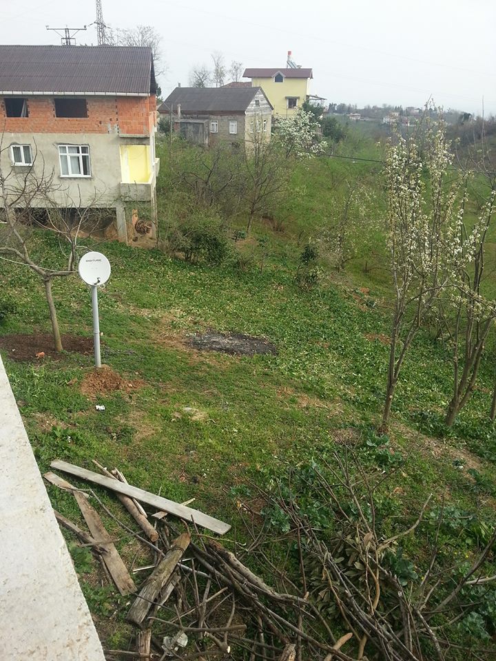 Araklı Buzluca Köyü Resimleri 4