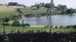 Sındırgı Kepez Köyü Resimleri 1