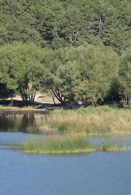 Sındırgı Kertil Köyü Resimleri 7