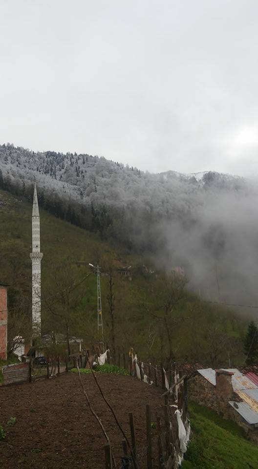 Araklı Çamlıktepe Köyü Resimleri 5