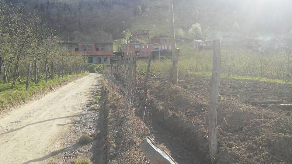 Araklı Çamlıktepe Köyü Resimleri 7