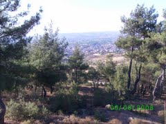 Sındırgı Kozlu Köyü Resimleri 2