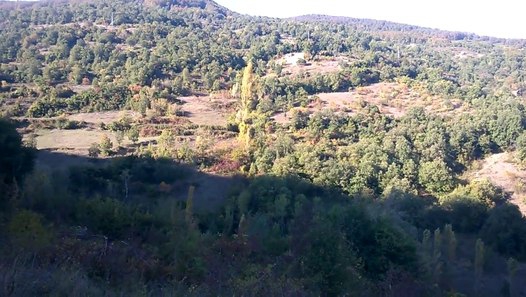 Sındırgı Pelitören Köyü Resimleri 6