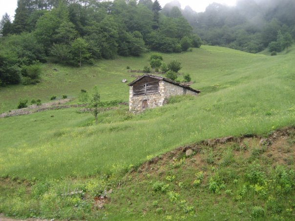 Araklı Çiftepınar Köyü Resimleri 10