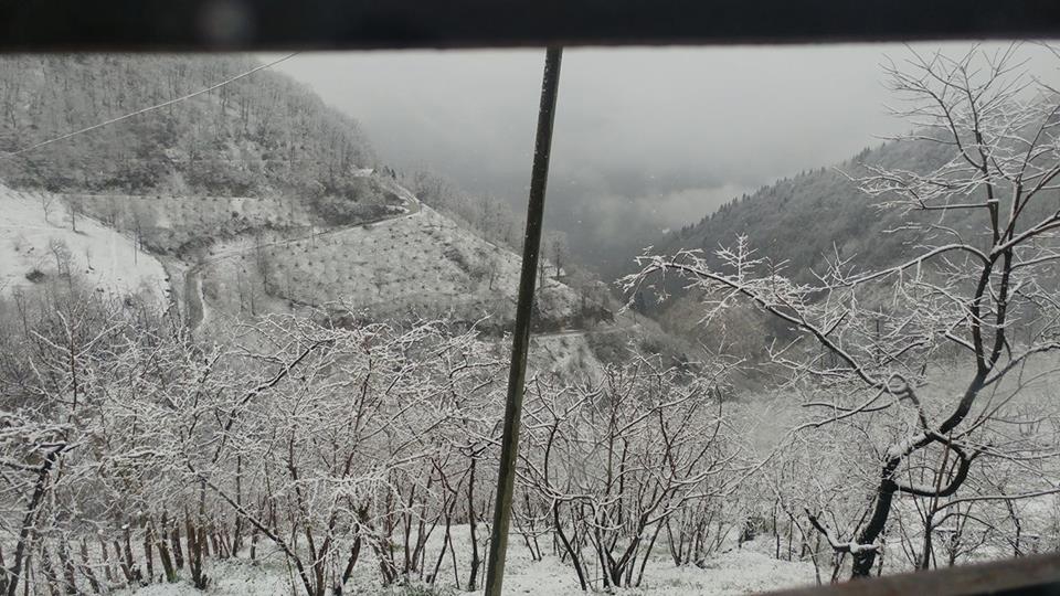 Araklı Çiftepınar Köyü Resimleri 12