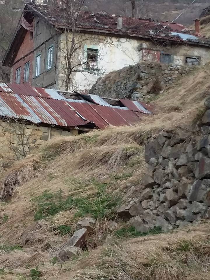 Araklı Çiftepınar Köyü Resimleri 16