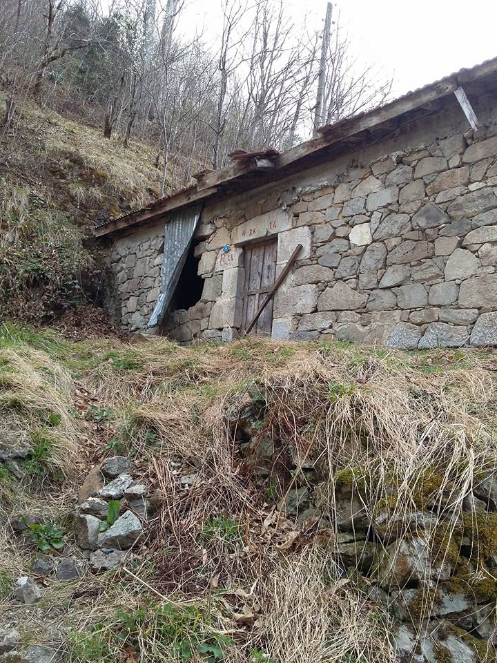Araklı Çiftepınar Köyü Resimleri 19