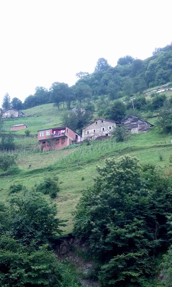 Araklı Çiftepınar Köyü Resimleri 8