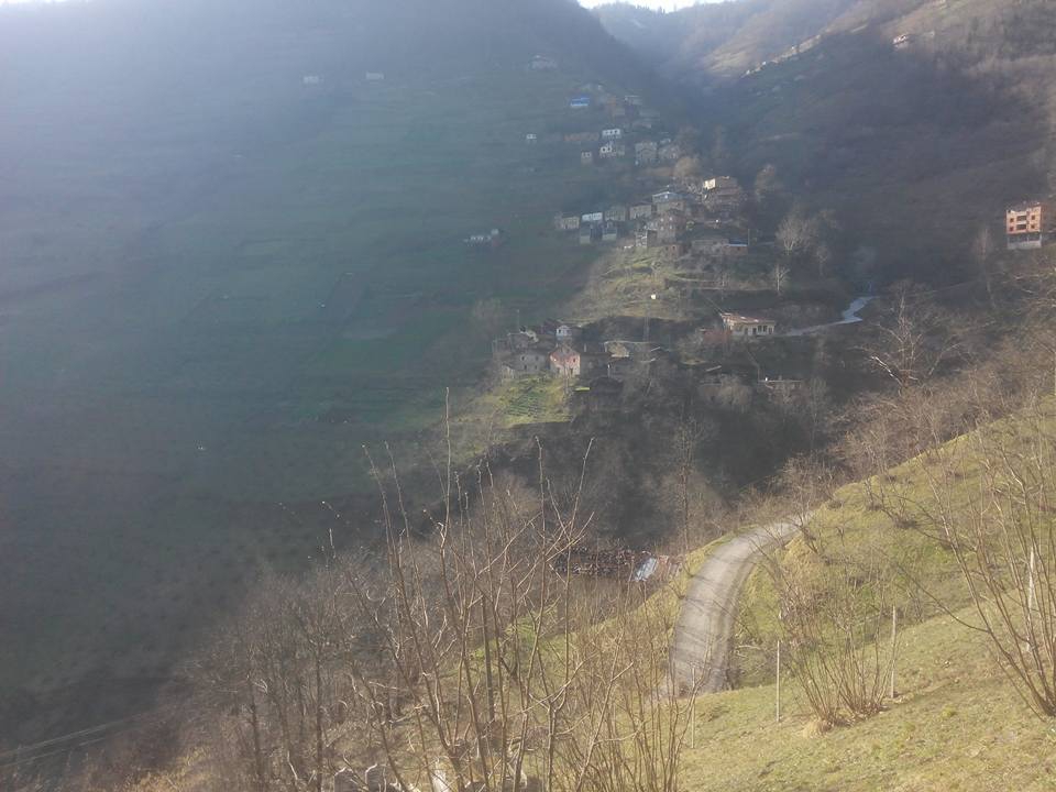Araklı Çiftepınar Köyü Resimleri 9