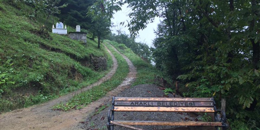 Araklı Çiftepınar Köyü Resimleri