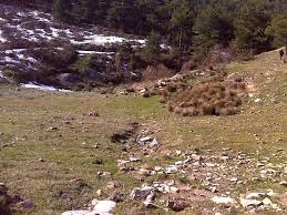 Sındırgı Taşköy Köyü Resimleri 4