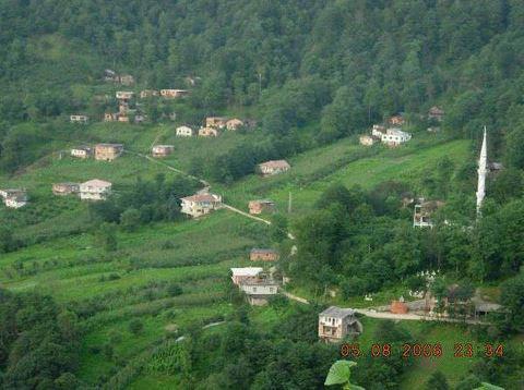 Araklı Çukurçayır Köyü Resimleri 2