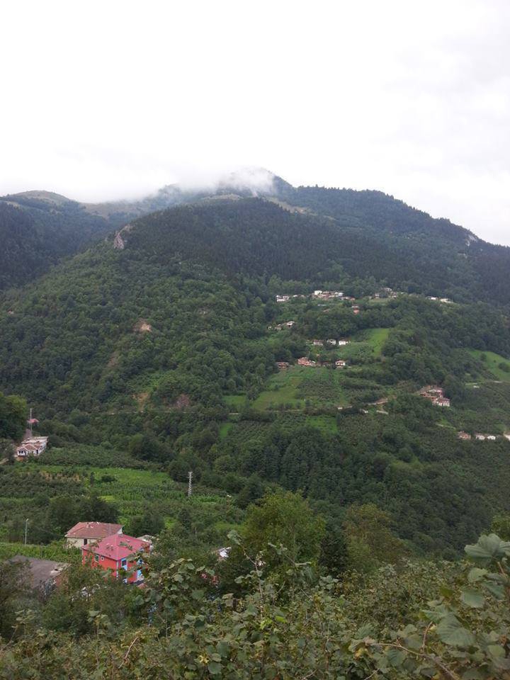 Araklı Çukurçayır Köyü Resimleri 8
