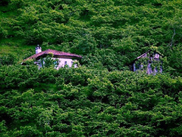 Araklı Değirmencik Köyü Resimleri 10