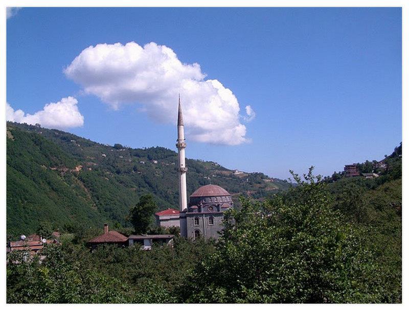 Araklı Değirmencik Köyü Resimleri 13