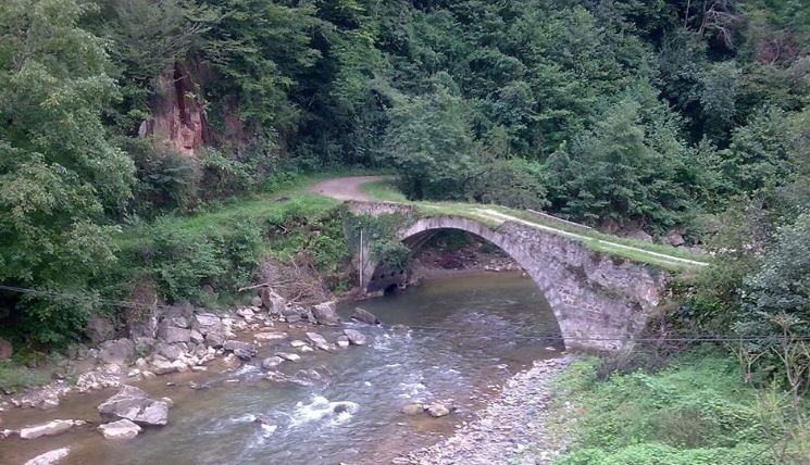 Araklı Değirmencik Köyü Resimleri 14