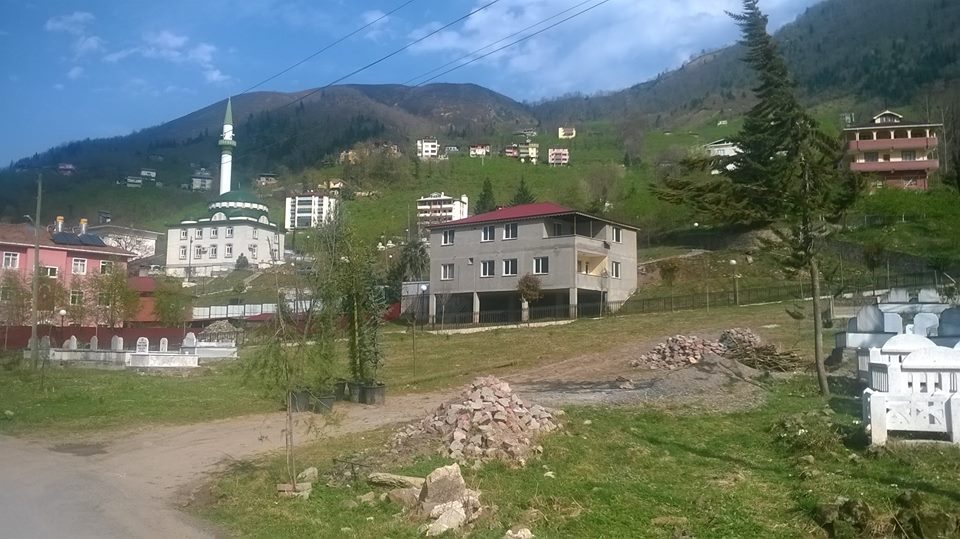 Araklı Değirmencik Köyü Resimleri 16