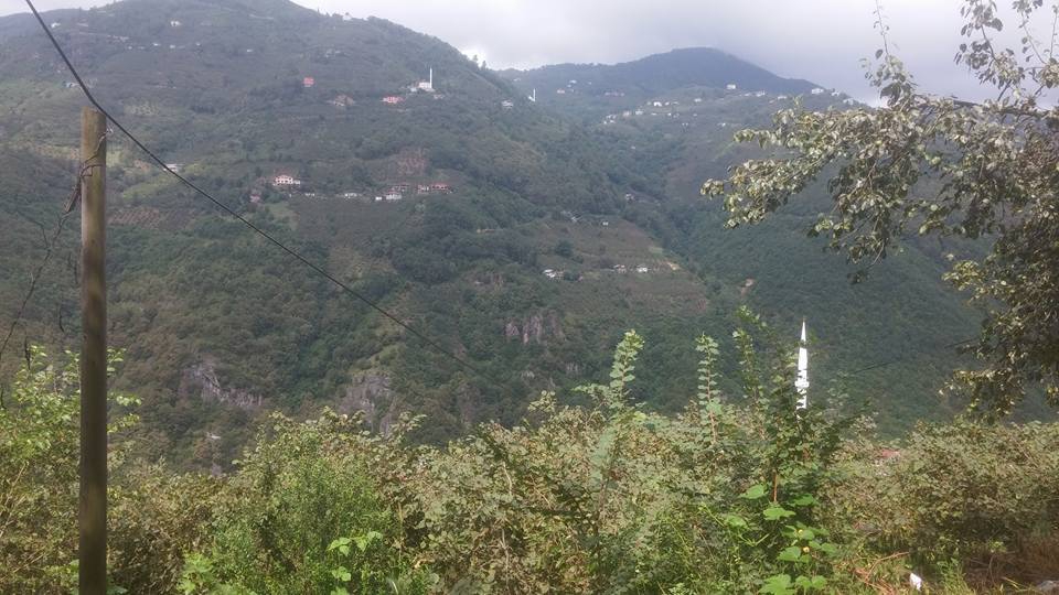 Araklı Değirmencik Köyü Resimleri 18