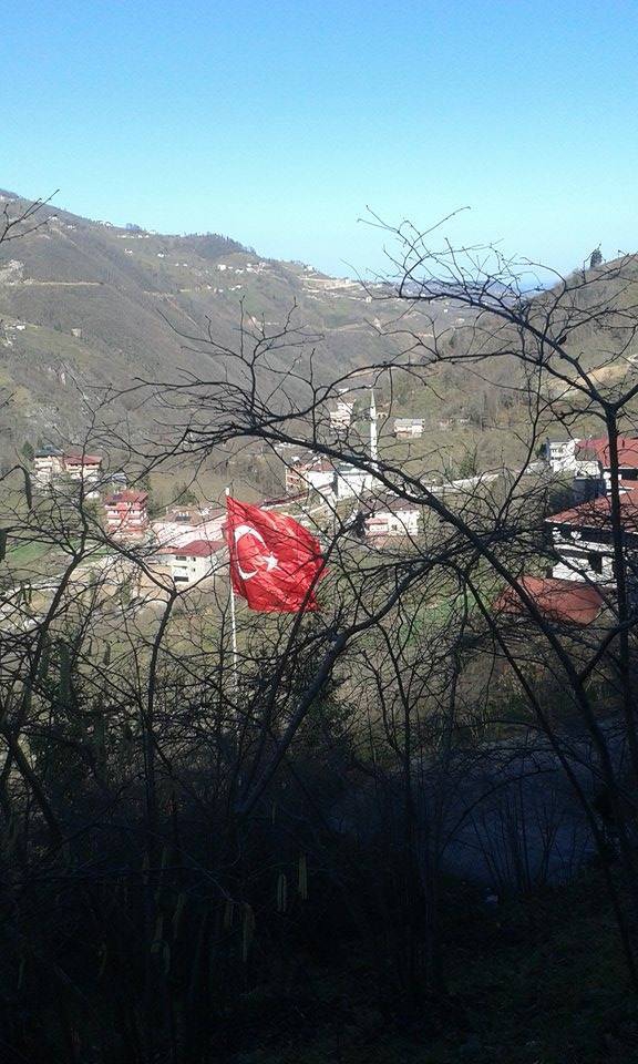 Araklı Değirmencik Köyü Resimleri 19