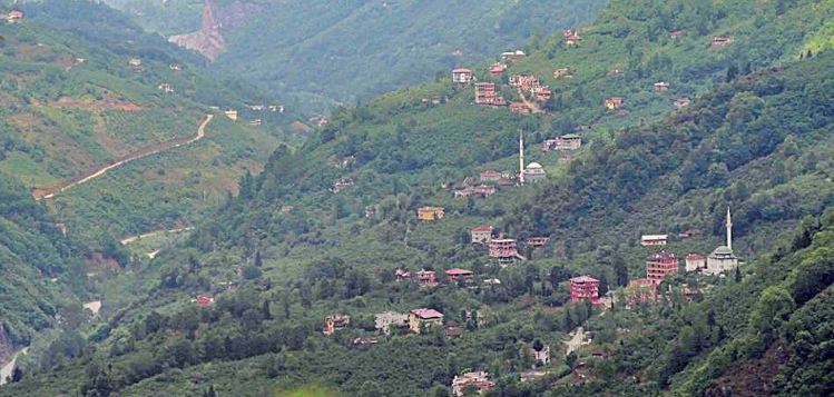 Araklı Değirmencik Köyü Resimleri 20