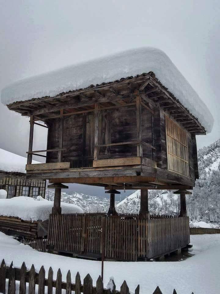 Araklı Değirmencik Köyü Resimleri 21