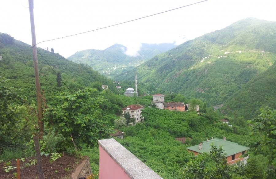 Araklı Değirmencik Köyü Resimleri 23