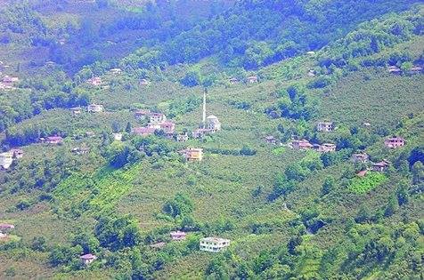 Araklı Değirmencik Köyü Resimleri 5