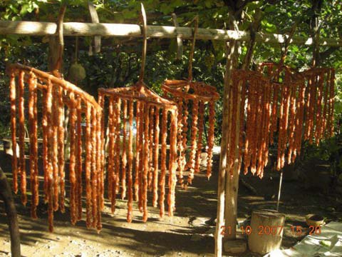 Artvin Zeytinlik Köyü Resimleri 11