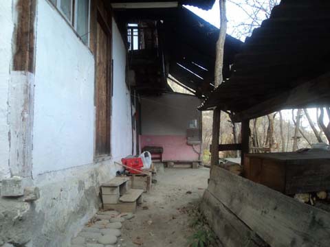 Artvin Zeytinlik Köyü Resimleri 18