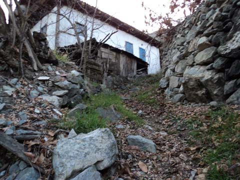 Artvin Zeytinlik Köyü Resimleri 24