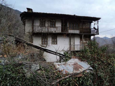 Artvin Zeytinlik Köyü Resimleri 25