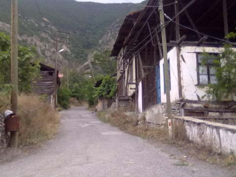 Artvin Zeytinlik Köyü Resimleri 29