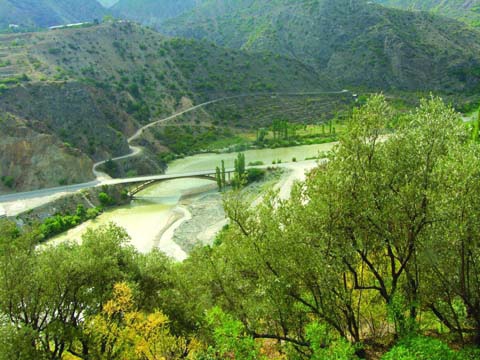 Artvin Zeytinlik Köyü Resimleri 4