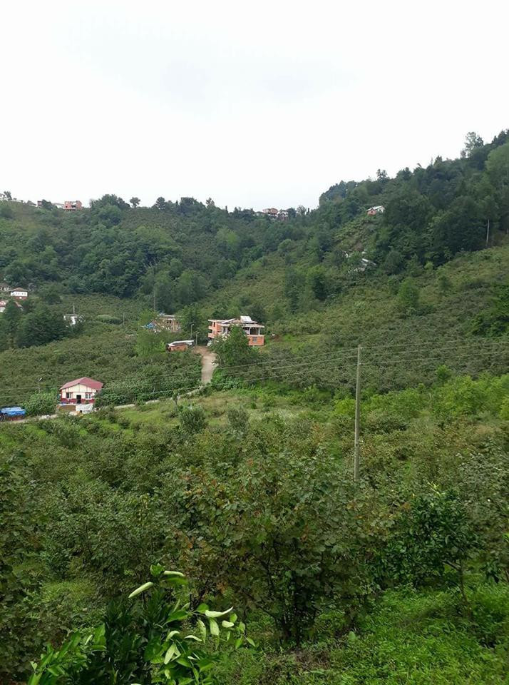 Araklı Dulköy Resimleri 1