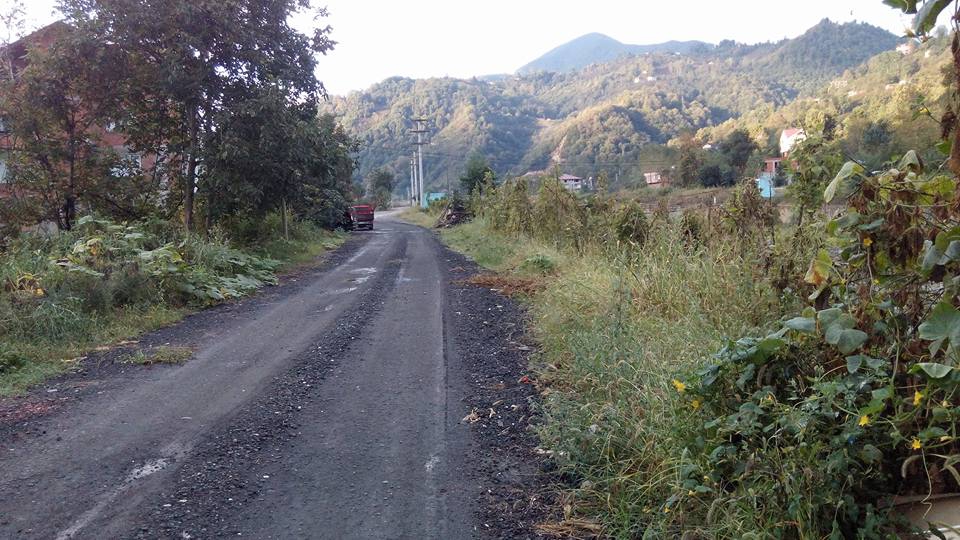 Araklı Dulköy Resimleri 4