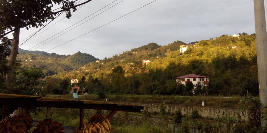 Araklı Dulköy Resimleri