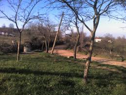 Susurluk İclaliye Köyü Resimleri 2