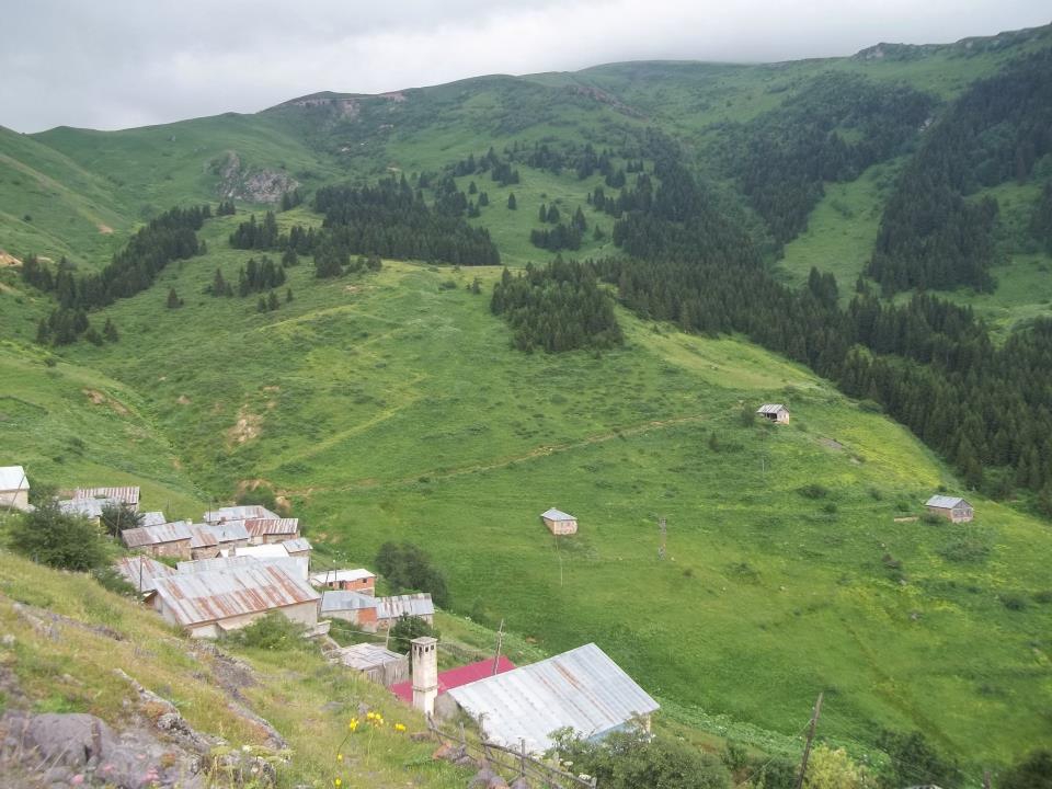 Araklı Erikli Köyü Resimleri 7