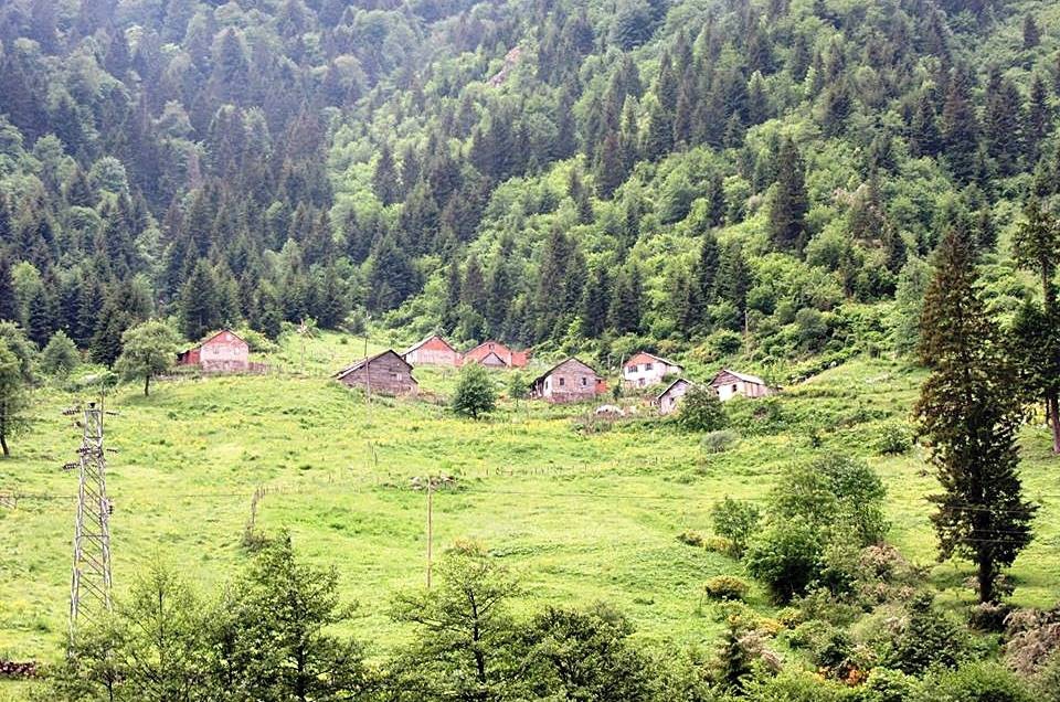Araklı Erikli Köyü Resimleri 9