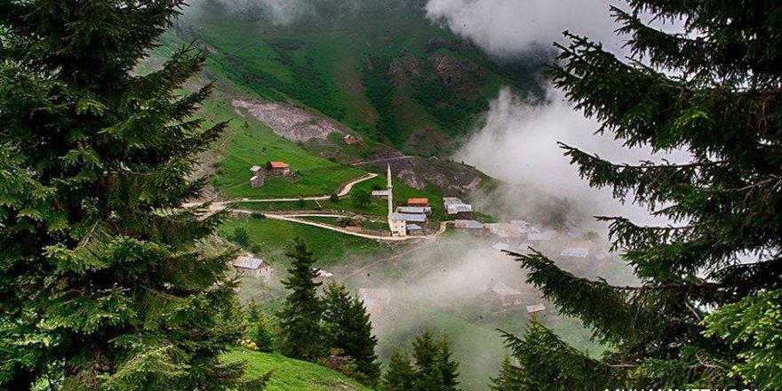 Araklı Erikli Köyü Resimleri