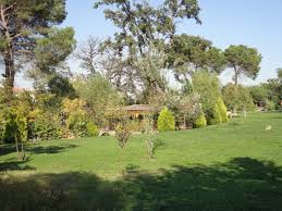 Susurluk Yıldız Köyü Resimleri 3