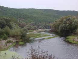 Susurluk Yıldız Köyü Resimleri 4